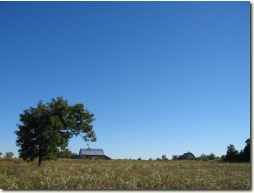Enjoy the wide open space.