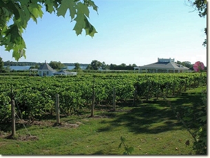 Waupoos Winery