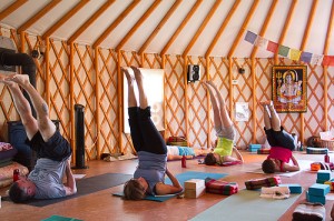 Practice Yoga in Shanti's Yurt